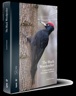 THE BLACK WOODPECKER