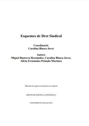 ESQUEMES DE DRET SINDICAL