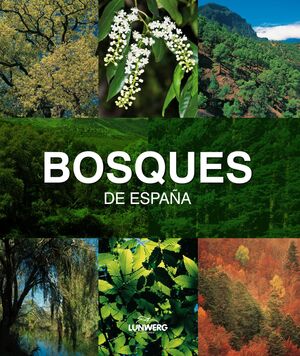 BOSQUES DE ESPAÑA.LUNWERG MEDIUM