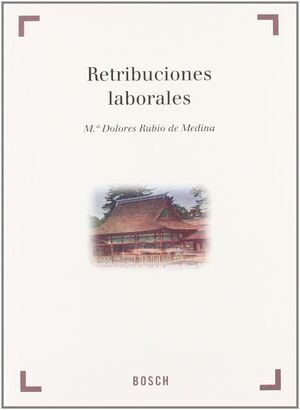 RETRIBUCIONES LABORALES - DESCATALOGADO VENTA NUEV