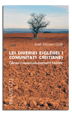 LES DIVERSES ESGLÉSIES I COMUNITATS CRISTIANES