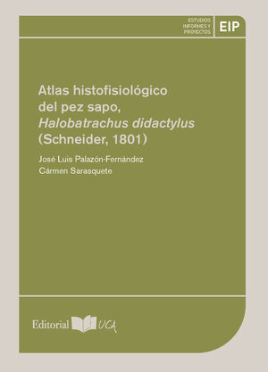 NUEVA GEOGRAFIA POLITICA SS IV Y V D.C.: EL VALOR SIMBOLICO E IDEOLOGICO DE LA C