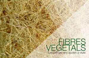 FIBRES VEGETALS
