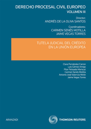DERECHO CIVIL EUROPEO, 3. TUTELA JUDICIAL DEL CREDITO EN LA UNION