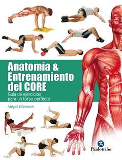 ANATOMÍA & ENTRENAMIENTO DEL CORE (COLOR)