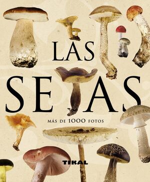 SETAS.TIKAL-RUST