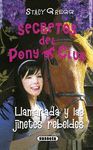 SECRETOS DEL PONY CLUB-010.LLAMARADA Y LAS JINETES REBELDES.SUSAETA-JUV-RUST