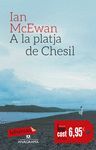 A LA PLATJA DE CHESIL.LABUTXACA