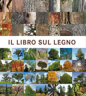 IL LIBRO SUL LEGNO