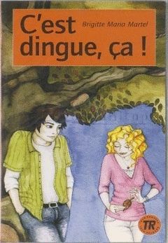 3.C'EST DINGUE, ÇA!