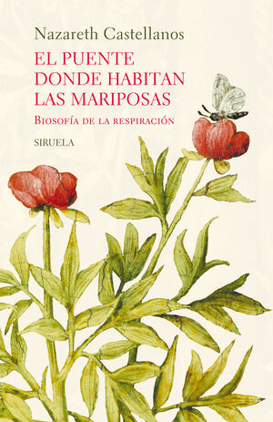 EL PUENTE DONDE HABITAN LAS MARIPOSAS -CARTONE-